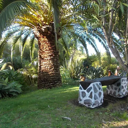 Hotel La Palma Romantica