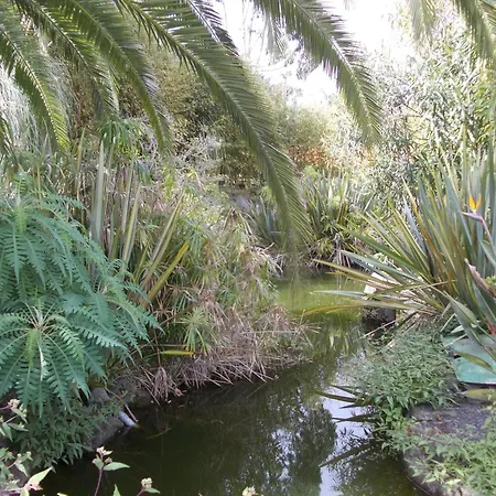 酒店 拉帕尔玛浪漫酒店 3*