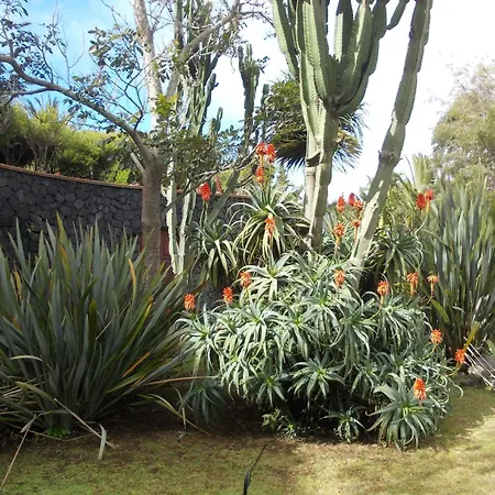 La Palma Romántica Barlovento
