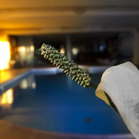 La Palma Romantica 3*